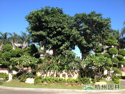 电竞比赛押注app