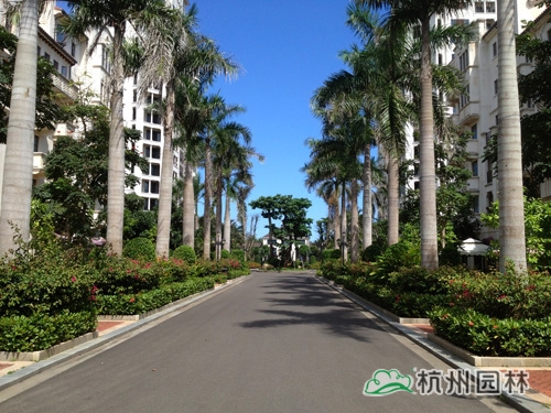 电竞比赛押注app