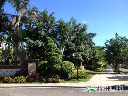 电竞比赛押注app