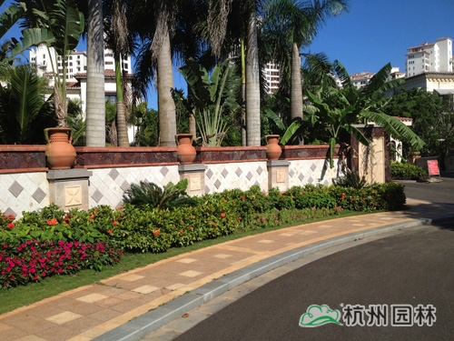 电竞比赛押注app