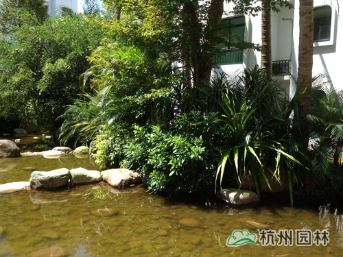 电竞比赛押注app