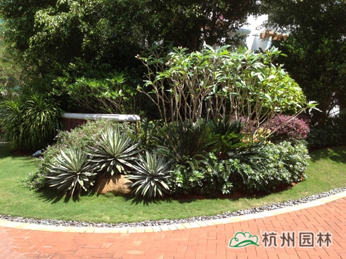 电竞比赛押注app