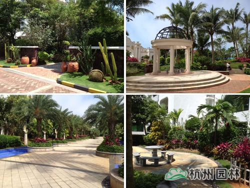 电竞比赛押注app