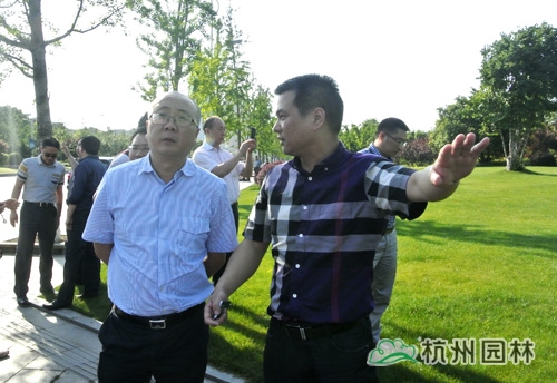 电竞比赛押注app