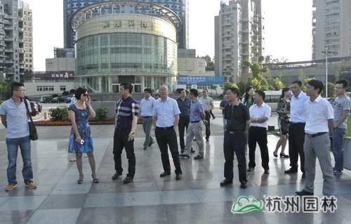 电竞比赛押注app