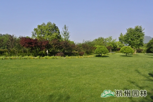 电竞比赛押注app