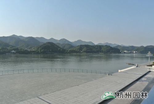 电竞比赛押注app