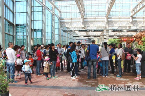 电竞比赛押注app