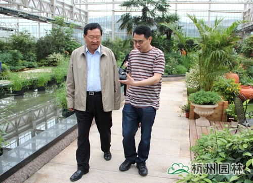 电竞比赛押注app