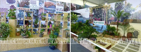 电竞比赛押注app