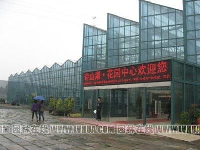 电竞比赛押注app