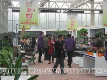 电竞比赛押注app