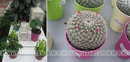 电竞比赛押注app