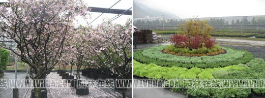 电竞比赛押注app