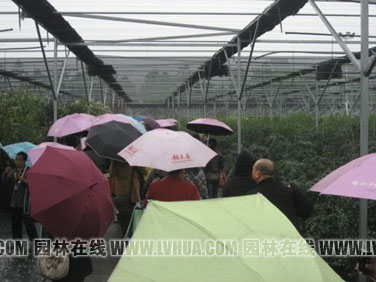 电竞比赛押注app