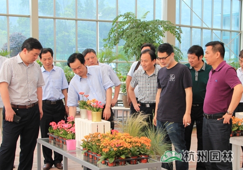 电竞比赛押注app