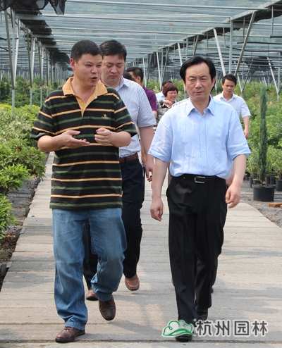 电竞比赛押注app