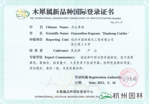 电竞比赛押注app