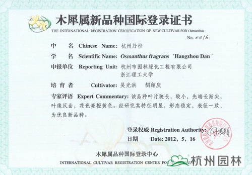 电竞比赛押注app