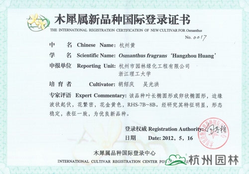 电竞比赛押注app