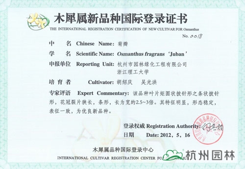 电竞比赛押注app