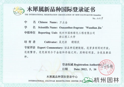 电竞比赛押注app