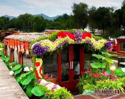 电竞比赛押注app