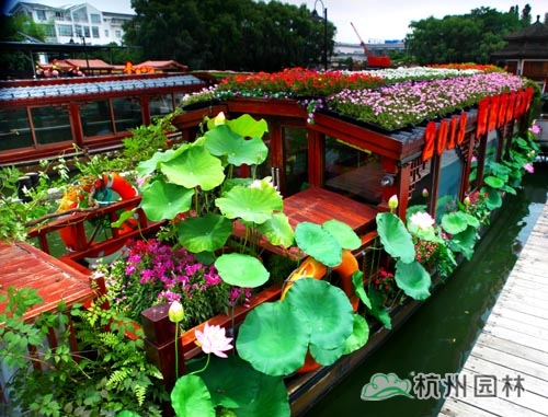 电竞比赛押注app