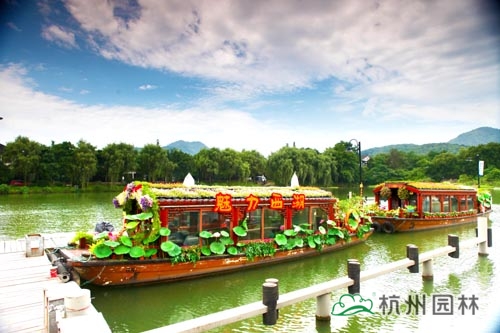 电竞比赛押注app