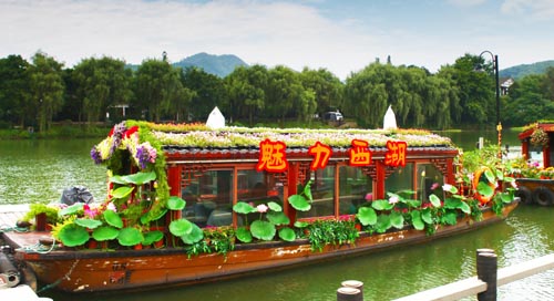 电竞比赛押注app