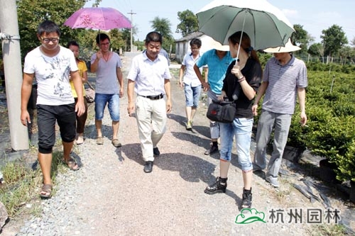 电竞比赛押注app