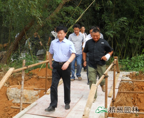 电竞比赛押注app