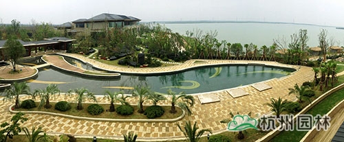 电竞比赛押注app