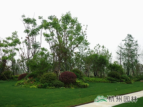 电竞比赛押注app