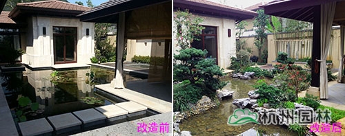 电竞比赛押注app