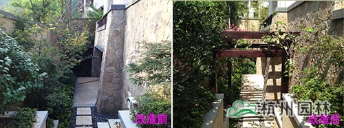 电竞比赛押注app