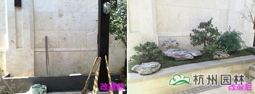 电竞比赛押注app