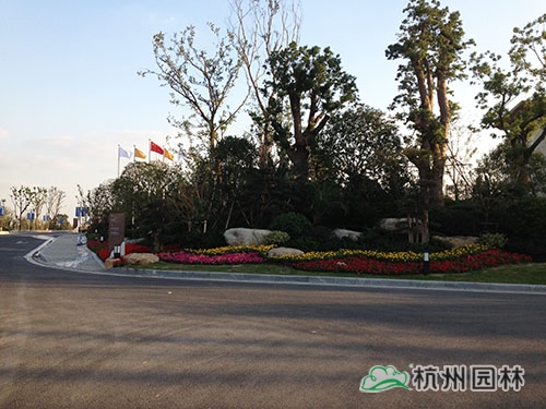 电竞比赛押注app