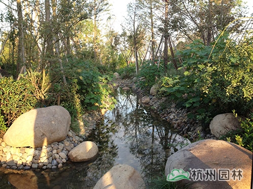 电竞比赛押注app