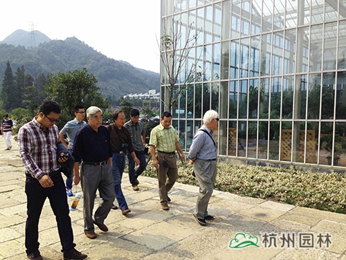 电竞比赛押注app