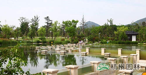 电竞比赛押注app