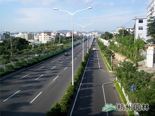 电竞比赛押注app