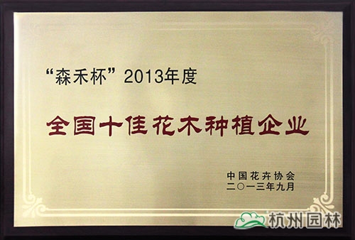 电竞比赛押注app