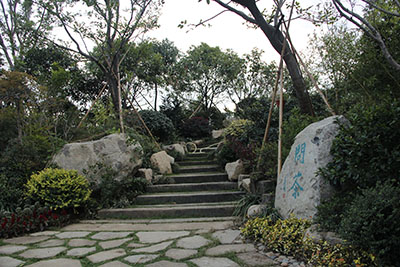 电竞比赛押注app