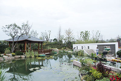 电竞比赛押注app