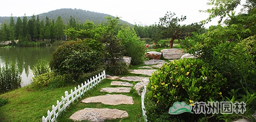 电竞比赛押注app