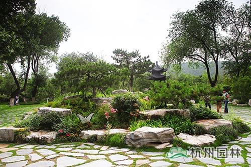 电竞比赛押注app