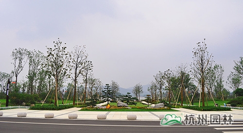 电竞比赛押注app