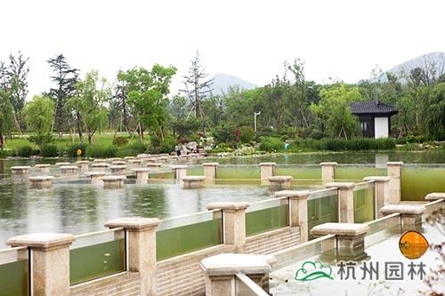 电竞比赛押注app