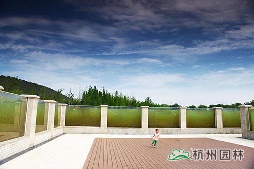 电竞比赛押注app